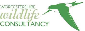 Worcestershire Wildlife Consultancy