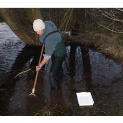 West Mercia Constabulary Great crested newt mitigation & monitoring image 1